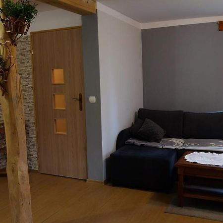 Apartamenty Lucky-Ski Ustrzyki Dolne Esterno foto