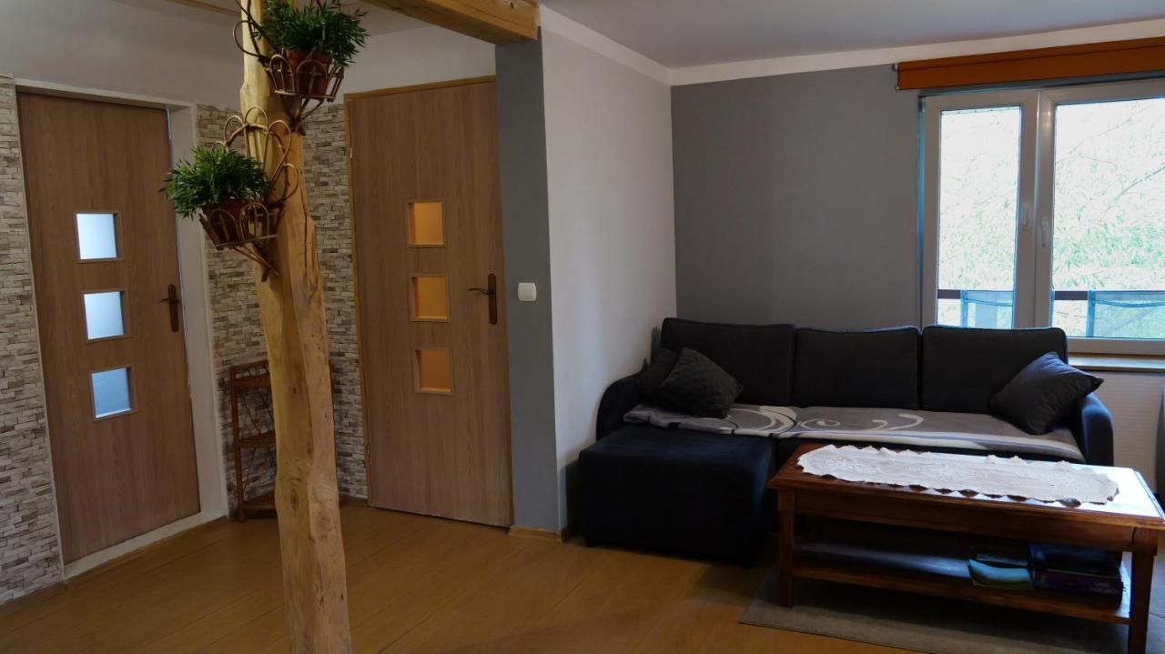 Apartamenty Lucky-Ski Ustrzyki Dolne Esterno foto